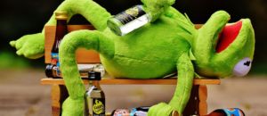 Kermit 1651325 960