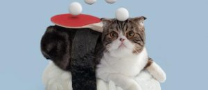 Nekozushi9