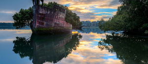 Foresta galleggiante nave australia natura