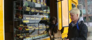 Fidotogo
