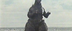 Candida camera godzilla