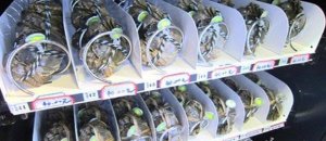 20130918 211531.jpg