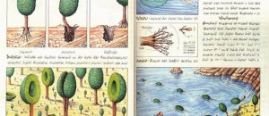 Codex seraphinianus