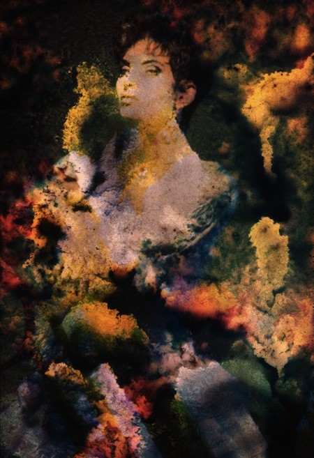 Credits: Rohn Meijer