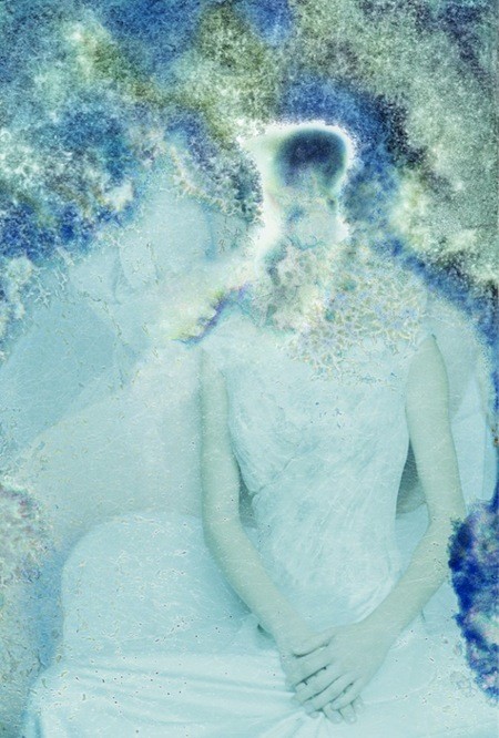 Credits: Rohn Meijer