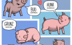 Oink maiale