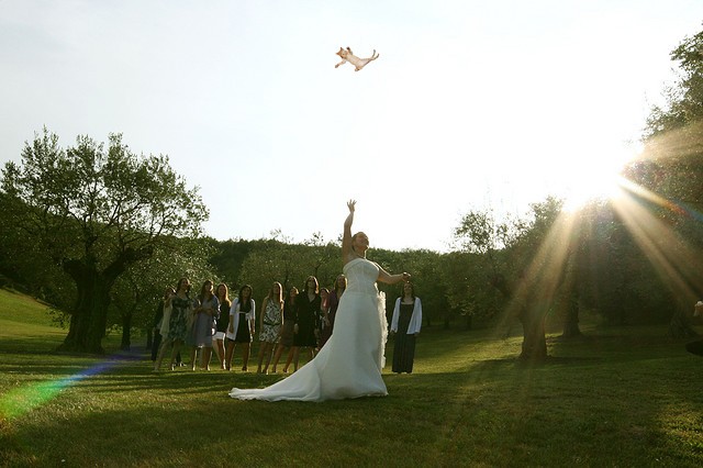 Credit: bridesthrowingcats.com