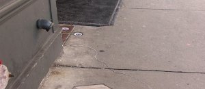 Davidzinn012