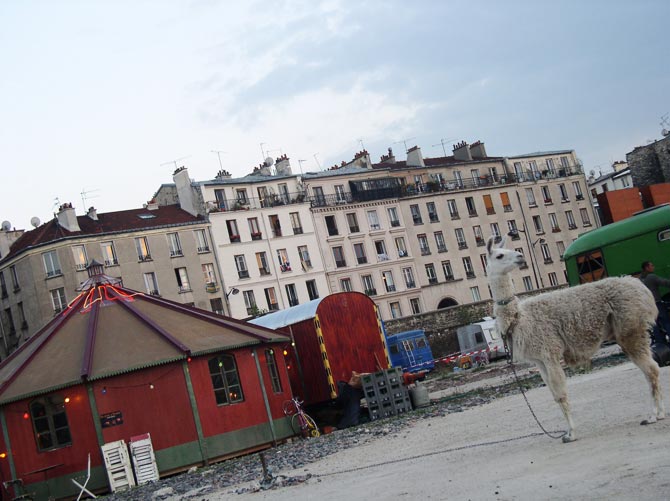 Credits: Stefano Disastro