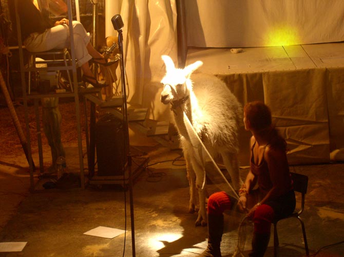 Credits: Stefano Disastro