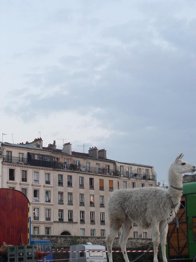 Credits: Stefano Disastro