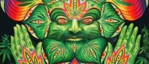 Trippppy
