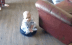 Bimbo roomba