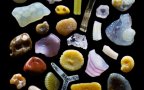 Sand grains under microscope gary greenberg