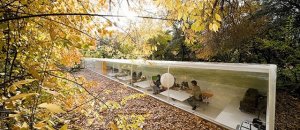 Office in the forest