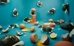 Jeeyoung lee opiom gallery