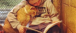 Reading children shelter cats book buddies