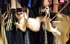 82