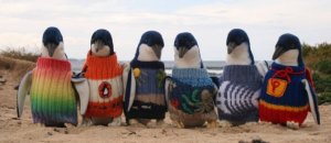 Hipster Penguins 1 990x500