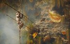 Honey hunters andrew newey