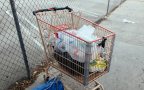 IMG 7825