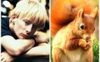 Radiohead squirrels 8 650x487