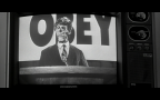 They live