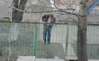 Videorusso