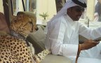 Dubai es diferente