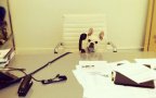 Funny animals doing human things