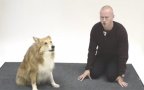 Cane uomo abbaia
