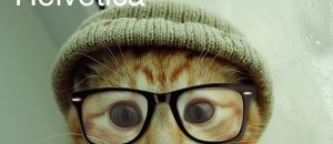 Cats as fonts