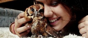 Owl