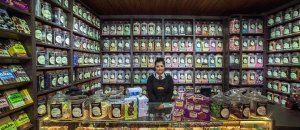 Shopkeepers guardians urban temples vladimir antaki 5