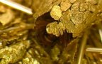 Insetti gioiellieri