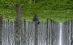 Fotografie assurde surreali epectase