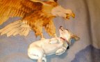 Pefectly timed dog photos