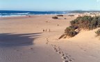 Vastità dune di Piscinas dIngurtosu Arbus