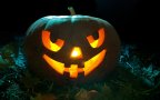 Halloween Pumpkin Wallpaper