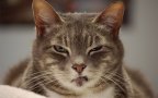 Angry4