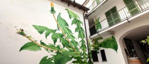 Murales graffitti marijuana