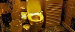 6 gold toilet