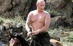 Putin Horse