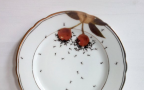 Schermata 2015 01 20 alle 11.33.05