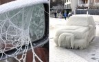 Frozen frosted cars coverimage