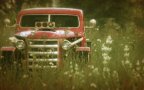 Gta v photography