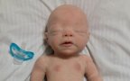 Reborn dolls