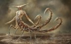 Zodiac monsters fantasy digital art damon hellandbrand