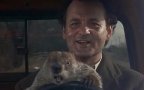 Groundhog Day