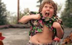Chiunk fat